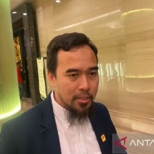 Chery Tiggo Cross berperan besar dalam menggeser posisi BYD di RI