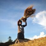 Mengenal Bobibos, bahan bakar dari jerami inovasi anak bangsa